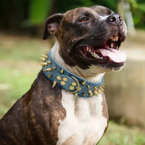 Cool Spiked Dog Collar - Studded Leather Collar for Large Dogs