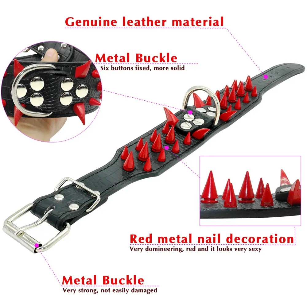 Cool Spiked Dog Collar - Studded Leather Collar for Large Dogs