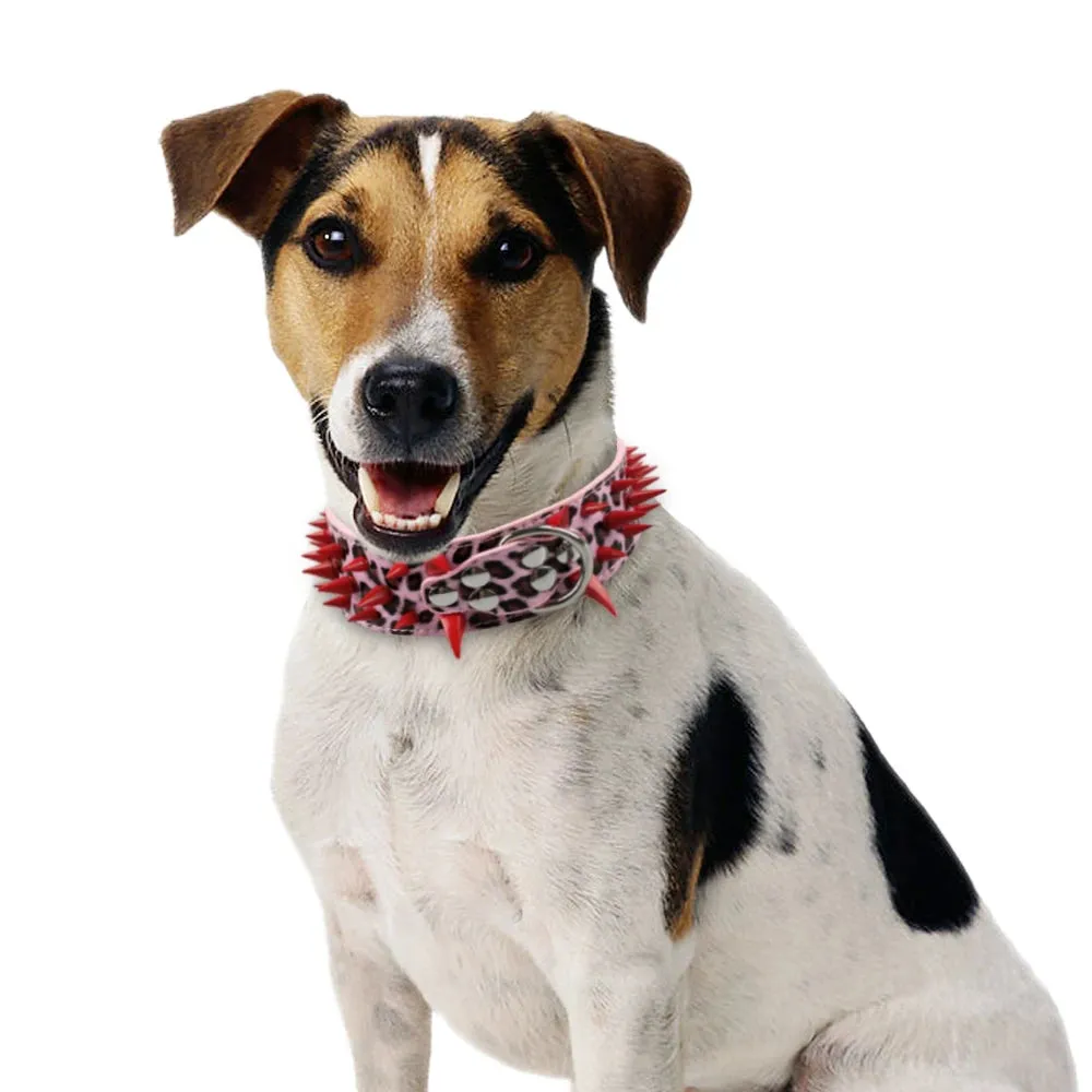 Cool Spiked Dog Collar - Studded Leather Collar for Large Dogs