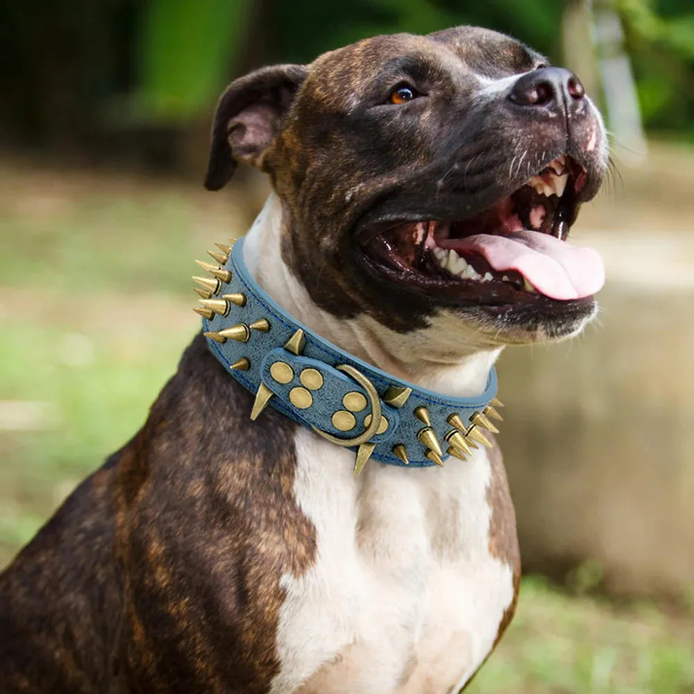 Cool Spiked Dog Collar - Studded Leather Collar for Large Dogs