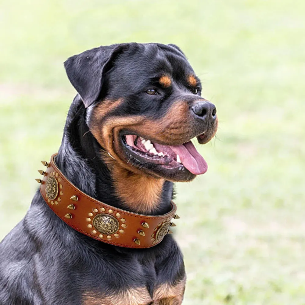 Durable Leather Dog Collar - Spiked & Studded Adjustable Collar for Medium to Large Dogs