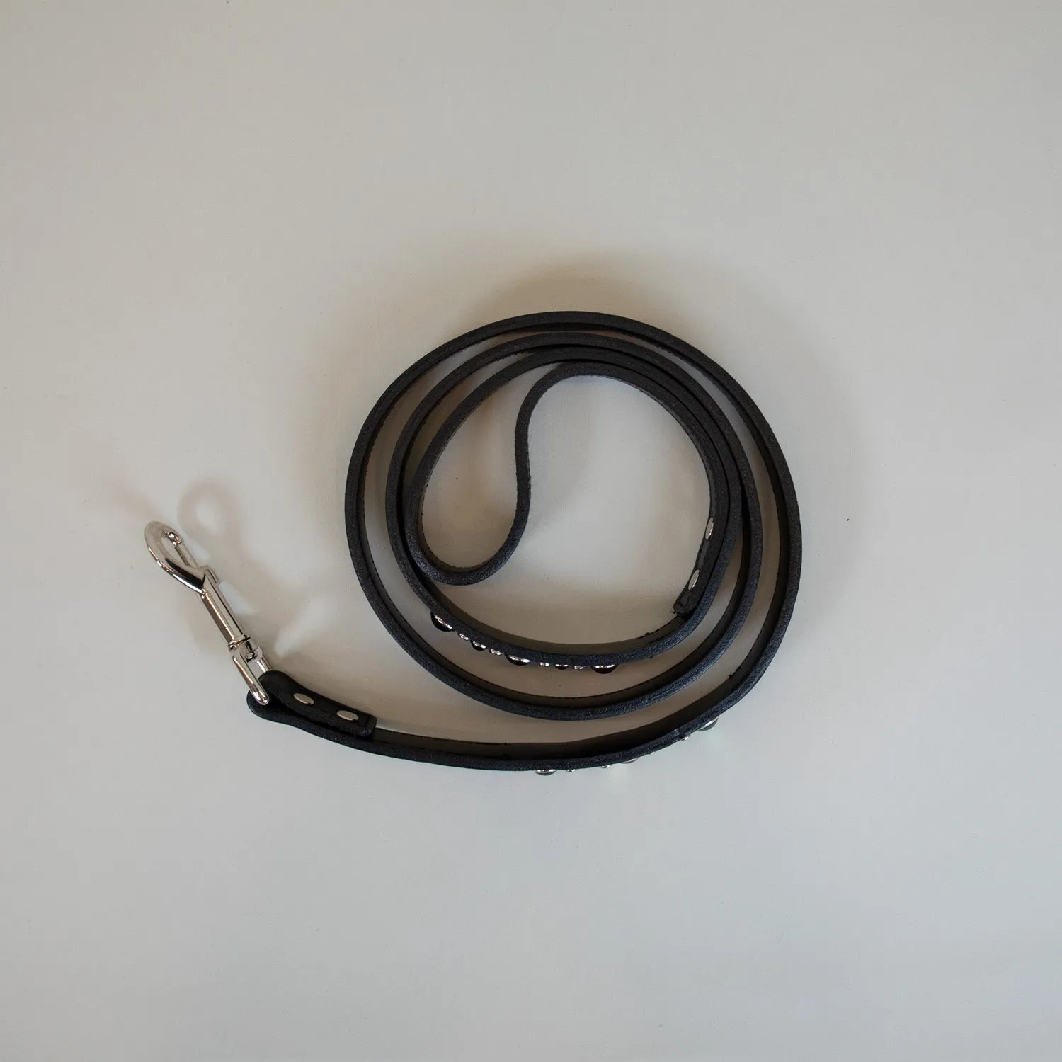 Lucky Charm Leash