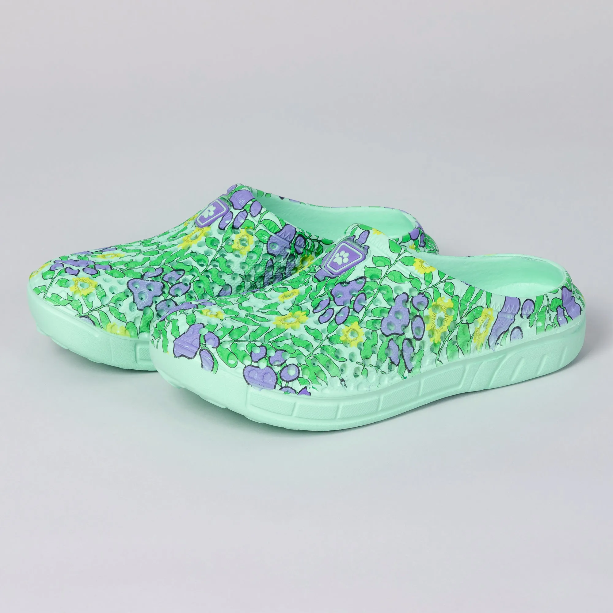 Rainbow Paw Clogs